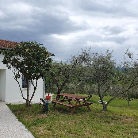 Apartma Zdenko Izola Esterno foto